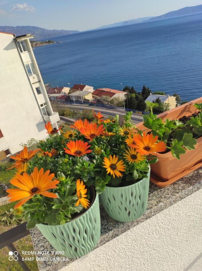 David Apartment Senj (Lika-Senj)