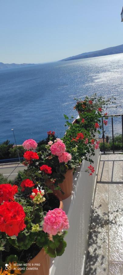 David Apartment Senj (Lika-Senj)